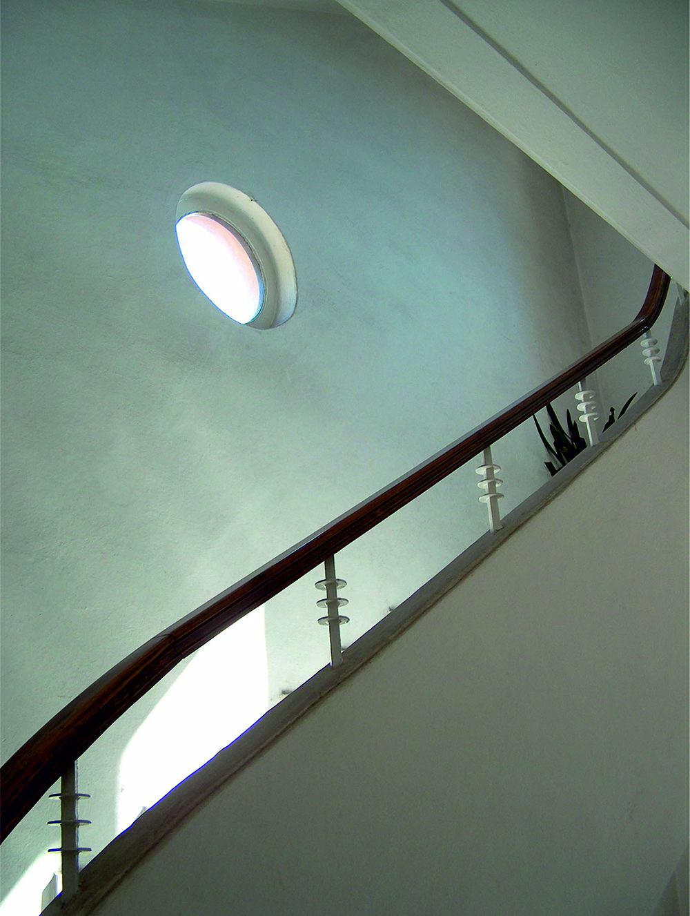 immagine opera 530